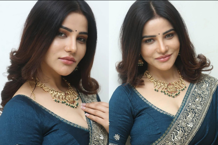 Krisheka Patel in blue saree