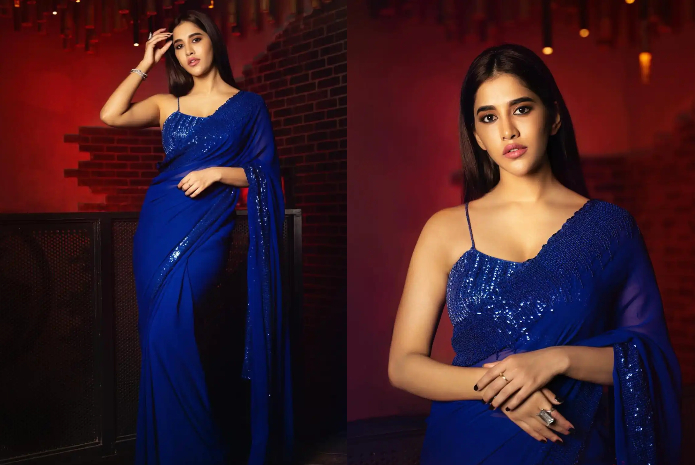 Nabha Natesh in blue saree