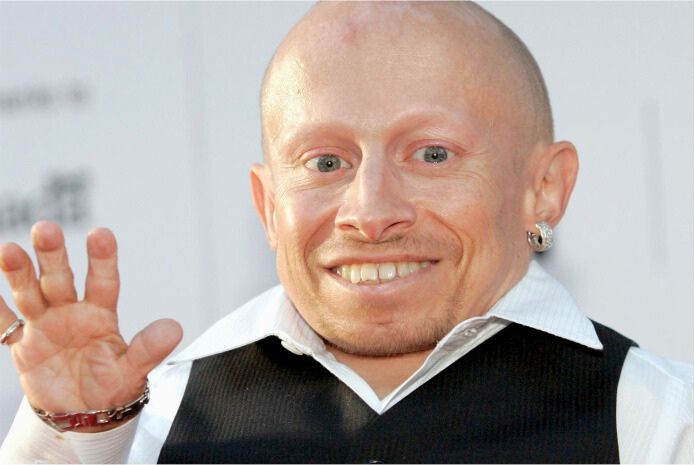 verne troyer